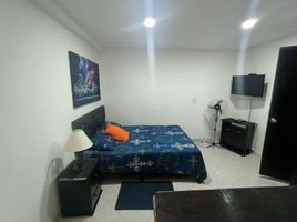 1 Habitación Apartamento en alquiler en Parque de los Pies Descalzos, Medellín, Medellín