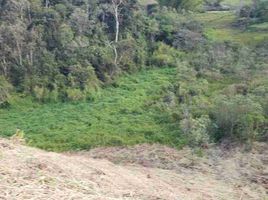  Grundstück zu verkaufen in El Santuario, Antioquia, El Santuario