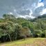 Grundstück zu verkaufen in Guarne, Antioquia, Guarne, Antioquia, Kolumbien