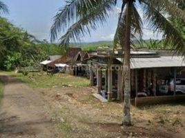  Land for sale in Tulungagung, East Jawa, Ngunut, Tulungagung