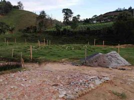  Land for sale in Marinilla, Antioquia, Marinilla