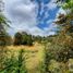  Land for sale in Mineral Del Chico, Hidalgo, Mineral Del Chico, Hidalgo