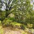  Land for sale in Mineral Del Chico, Hidalgo, Mineral Del Chico, Hidalgo