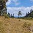  Land for sale in Mineral Del Chico, Hidalgo, Mineral Del Chico, Hidalgo