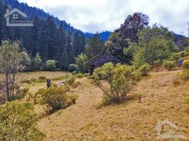  Land for sale in Mineral Del Chico, Hidalgo, Mineral Del Chico, Hidalgo