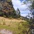  Land for sale in Mineral Del Chico, Hidalgo, Mineral Del Chico, Hidalgo