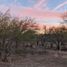  Grundstück zu verkaufen in Hermosillo, Sonora, Hermosillo, Sonora, Mexiko