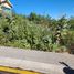  Grundstück zu verkaufen in Morelia, Michoacan, Morelia, Michoacan