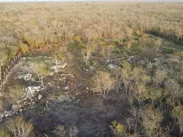 Terrain à vendre à Tixpehual, Yucatan, Tixpehual