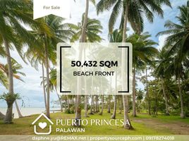  Land for sale in Puerto Princesa City, Mimaropa, Puerto Princesa City, Palawan, Mimaropa