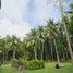  Land for sale in Puerto Princesa City, Mimaropa, Puerto Princesa City, Palawan, Mimaropa