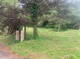  Grundstück zu verkaufen in Laurel, Calabarzon, Laurel