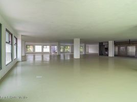 4,425 m² Office for rent in México, Miguel Hidalgo, Ciudad de México, México