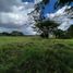  Land for sale in Tlalnelhuayocan, Veracruz, Tlalnelhuayocan