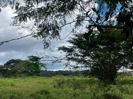  Land for sale in Tlalnelhuayocan, Veracruz, Tlalnelhuayocan