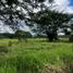  Land for sale in Tlalnelhuayocan, Veracruz, Tlalnelhuayocan