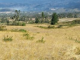  Terreno (Parcela) en venta en Imbabura, Quiroga, Cotacachi, Imbabura