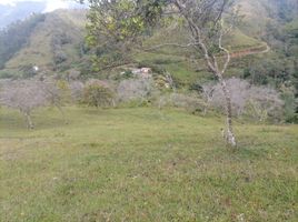  Land for sale in Barbosa, Antioquia, Barbosa