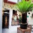  Haus zu vermieten in San Andres Cholula, Puebla, San Andres Cholula