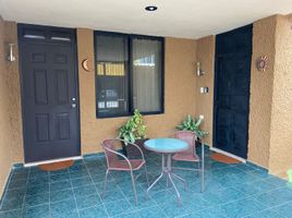 1 Schlafzimmer Appartement zu vermieten in Merida, Yucatan, Merida