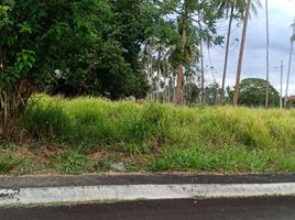  Land for sale in Tiaong, Quezon, Tiaong