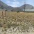  Land for sale in Puellaro, Quito, Puellaro