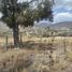  Land for sale in Puellaro, Quito, Puellaro