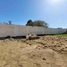  Terreno (Parcela) en venta en Arequipa, Arequipa, Sachaca, Arequipa