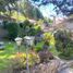  Land for sale in Las Nieves Chaya, Azuay, Las Nieves Chaya, Nabon, Azuay
