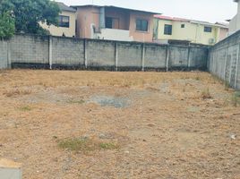  Land for sale in Daule, Guayas, Daule, Daule