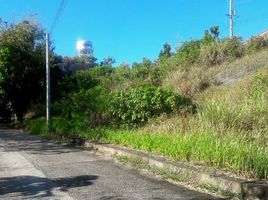  Land for sale in Consolacion, Cebu, Consolacion