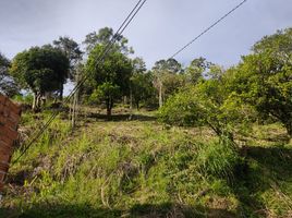  Land for sale in Girardota, Antioquia, Girardota