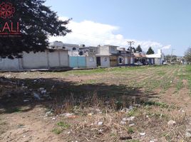  Grundstück zu verkaufen in Tzompantepec, Tlaxcala, Tzompantepec