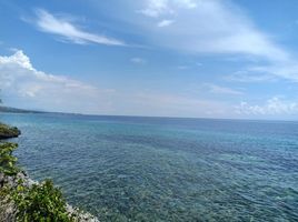  Land for sale in Alcoy, Cebu, Alcoy