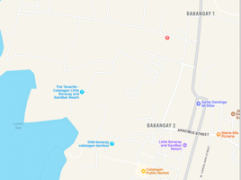  Land for sale in Batangas, Calabarzon, Calatagan, Batangas