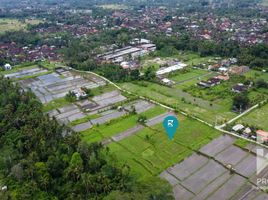  Tanah for sale in Tampak Siring, Gianyar, Tampak Siring