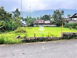  Land for sale in Ngargoyoso, Karanganyar, Ngargoyoso