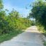  Terreno (Parcela) en venta en Panglao, Central Visayas, Panglao, Bohol, Central Visayas, Filipinas