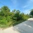  Terreno (Parcela) en venta en Panglao, Central Visayas, Panglao, Bohol, Central Visayas, Filipinas