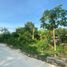  Terreno (Parcela) en venta en Panglao, Central Visayas, Panglao, Bohol, Central Visayas, Filipinas