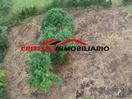  Land for sale in Rionegro, Antioquia, Rionegro