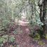  Land for sale in Mineral Del Chico, Hidalgo, Mineral Del Chico
