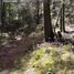  Land for sale in Mineral Del Chico, Hidalgo, Mineral Del Chico