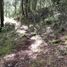  Land for sale in Mineral Del Chico, Hidalgo, Mineral Del Chico