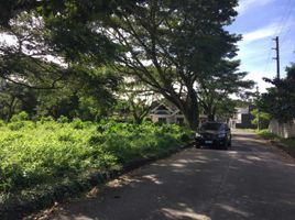  Terreno (Parcela) en venta en Cebu City, Central Visayas, Cebu City, Cebu