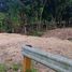  Land for sale in Moalboal, Cebu, Moalboal