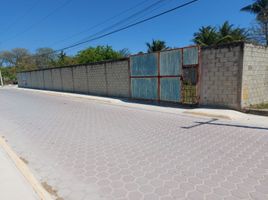  Terreno (Parcela) en venta en Carmen, Campeche, Carmen, Campeche