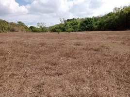  Grundstück zu verkaufen in Calatagan, Calabarzon, Calatagan