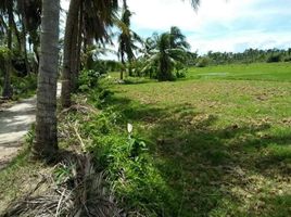  Land for sale in Carcar City, Cebu, Carcar City