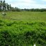  Land for sale in Carcar City, Cebu, Carcar City